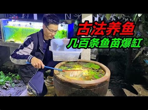 空魚缸利用|【空魚缸利用】環保創意利用空魚缸，讓家裡更有生氣的方法！